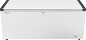 Liebherr EFL 6055-21